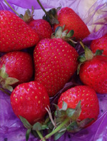 07.06. Отчет за неделю