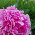 Завтра на работе небольшой корпоратив.. в честь моего прошедшего ДР и новые кроссы!