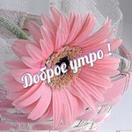 Худею без диет и заморочек. Посоветоваться и похвастаться...
