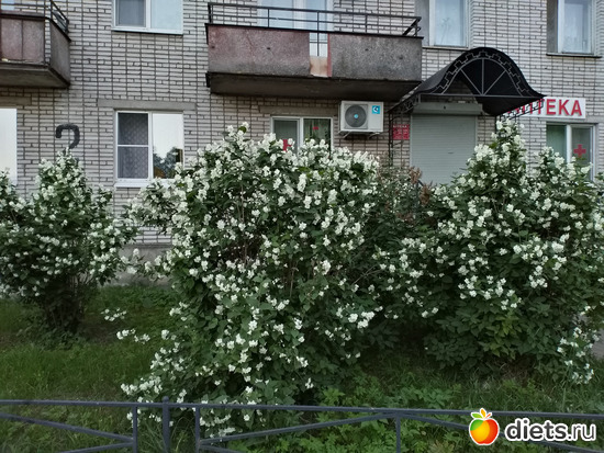 126 ����: ������