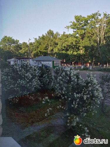 127 ����: ������