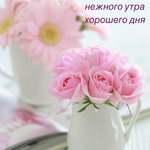 Худею без диет и заморочек. Отчет по весу, огородик, дача, шашлыки...