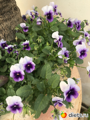 1 ����: ���� 2020