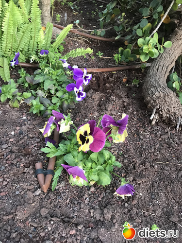 33 фото: Март 2020