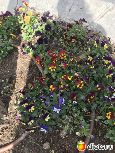 34 фото: Март 2020