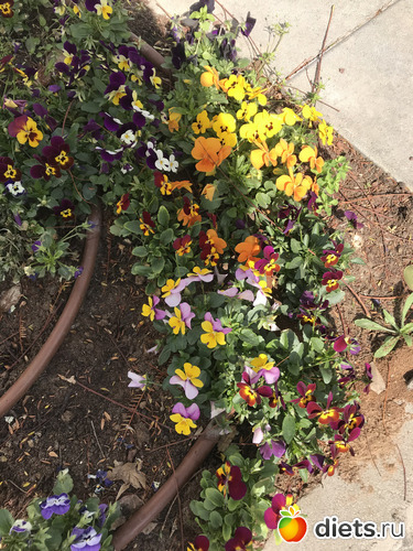 19 фото: Март 2020