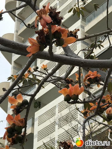 22 фото: Март 2020