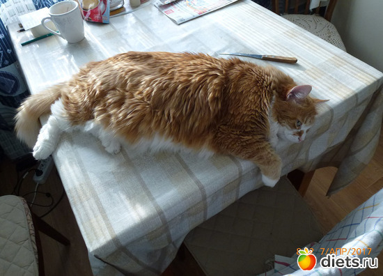 57 ����: ������