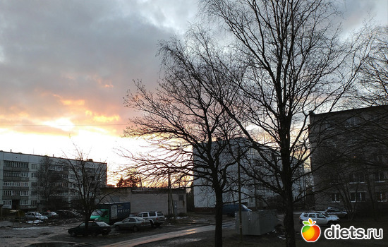 52 ����: ������