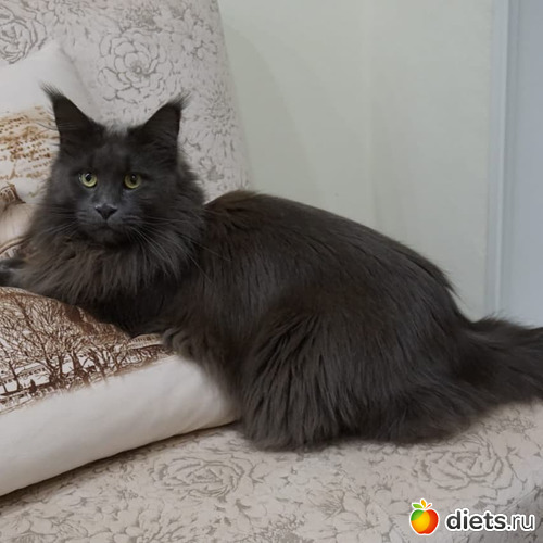 1 ����: ��� ������� ���