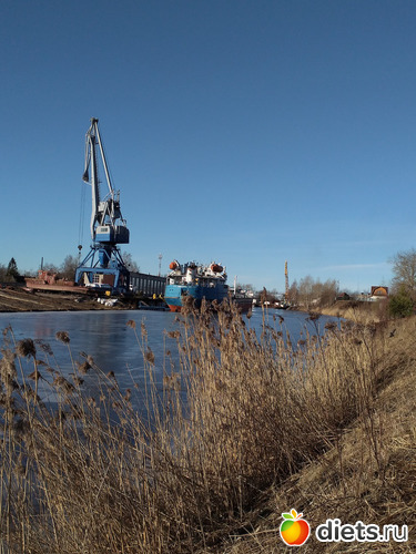 61 фото: Разное