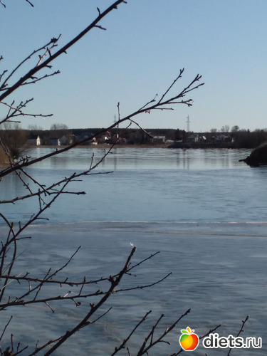 62 фото: Разное