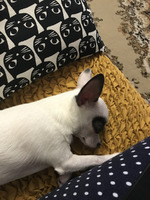 Просто позитивный пост и полтора килограмма счастья