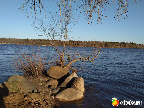 110 ����: ������