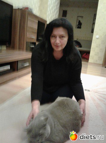 2017 ��� 90 ��