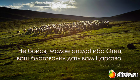 12 фото: Высказывания из Евангелия