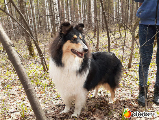 11 фото: Жизнь два года спустя...