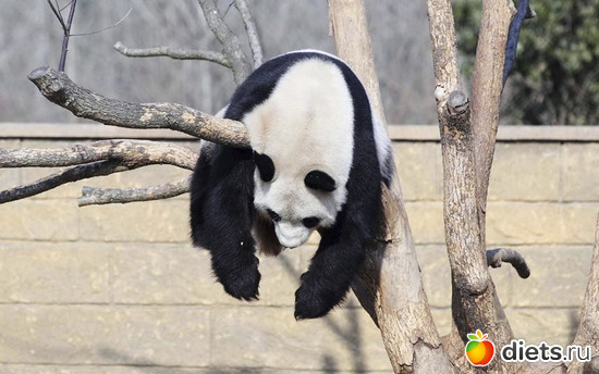 1 фото: ЛЕНЬ