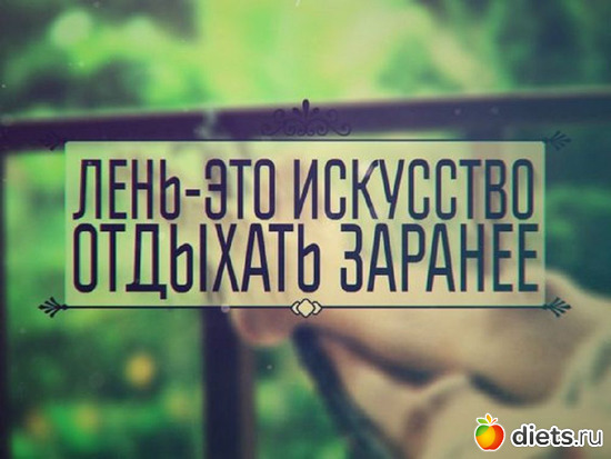 3 фото: ЛЕНЬ