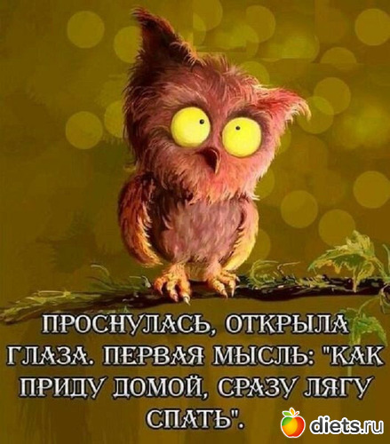 4 фото: ЛЕНЬ