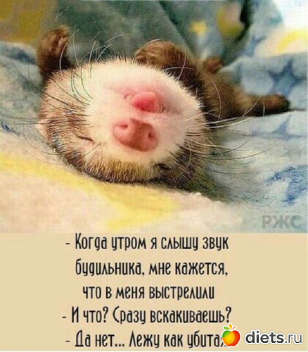 6 фото: ЛЕНЬ