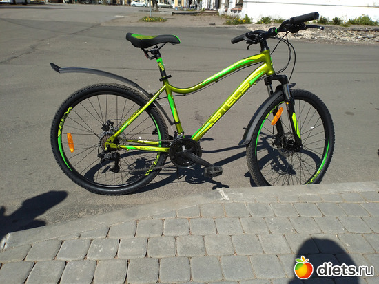 113 ����: ������