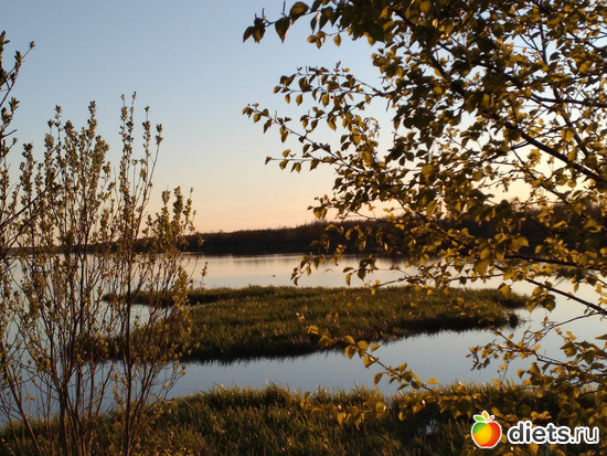 114 ����: ������