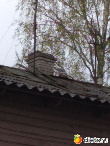 116 ����: ������