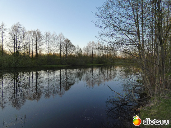 120 ����: ������