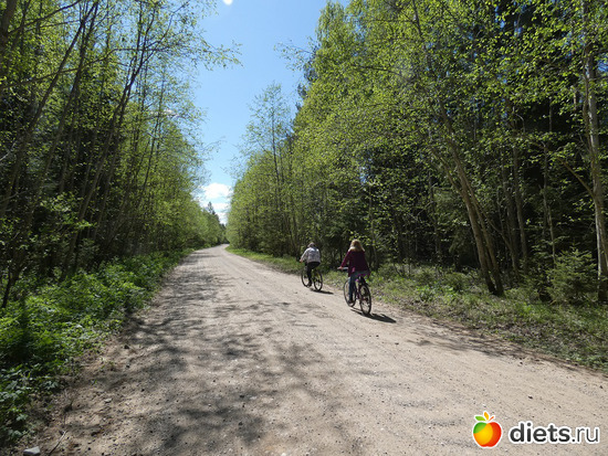 3 фото: Велосипедная авантюра