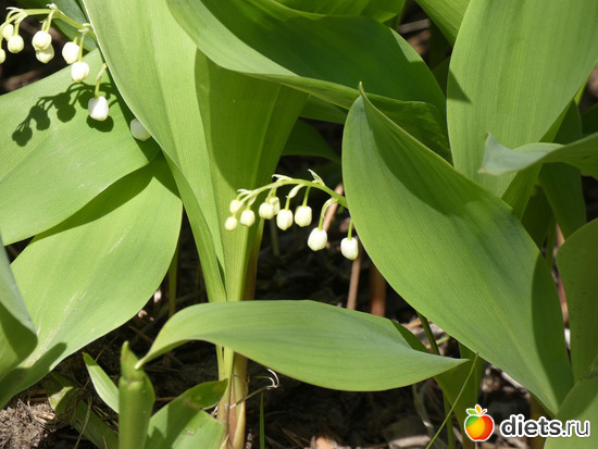 5 фото: Велосипедная авантюра