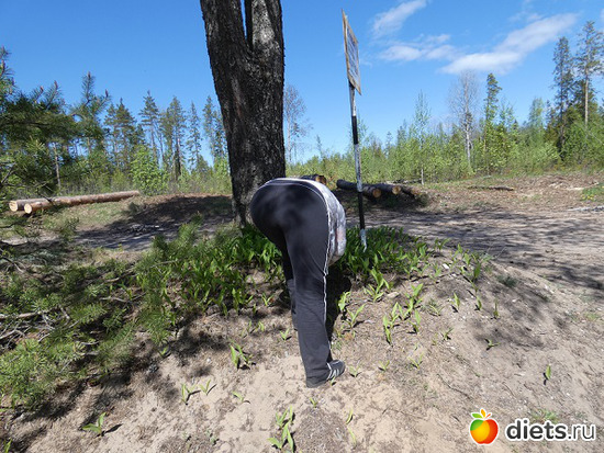 6 ����: ������������ ��������