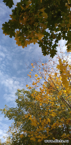 10 фото: Избыточный вес и гормоны