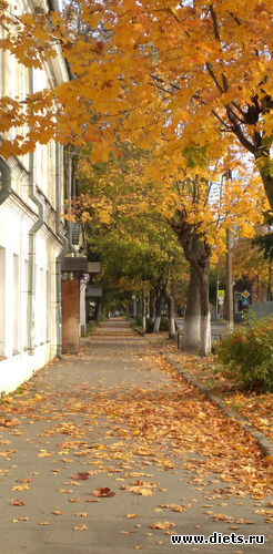 11 фото: Избыточный вес и гормоны