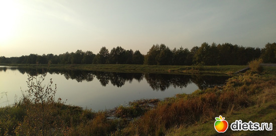 12 фото: Избыточный вес и гормоны