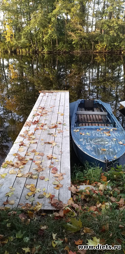 13 фото: Избыточный вес и гормоны