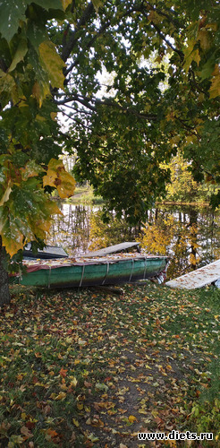 14 фото: Избыточный вес и гормоны