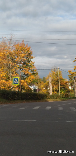 16 фото: Избыточный вес и гормоны