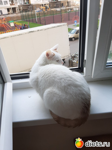 3 фото: Октябрь 2020