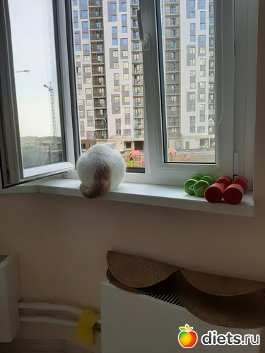 4 фото: Октябрь 2020