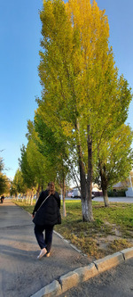 ���� ������ ��������, ���� ������ ������