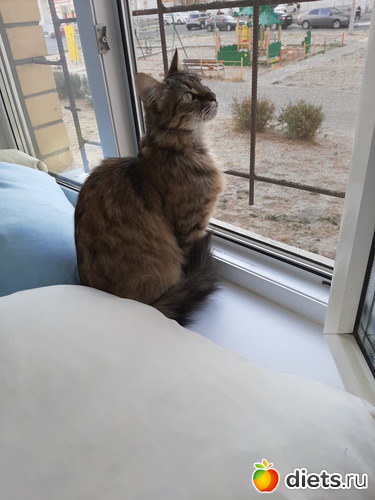 6 фото: Октябрь 2020