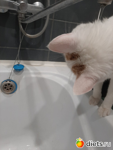 7 фото: Октябрь 2020