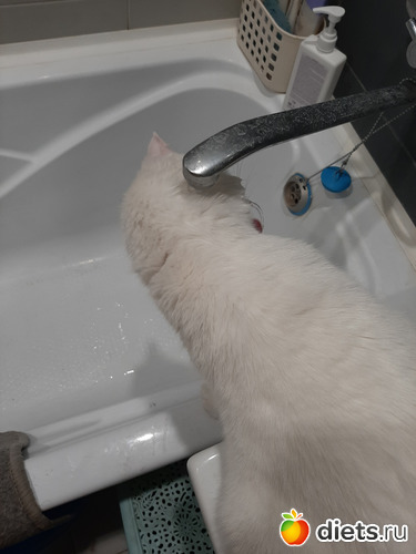 8 фото: Октябрь 2020