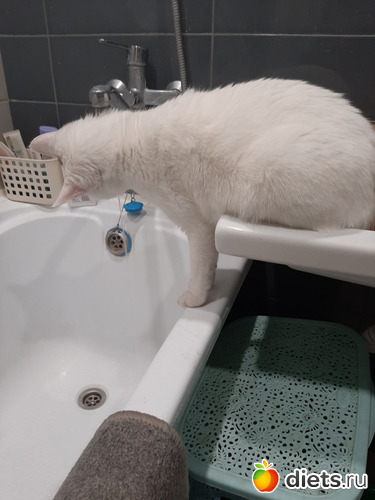 9 фото: Октябрь 2020