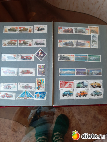 26 фото: Октябрь 2020