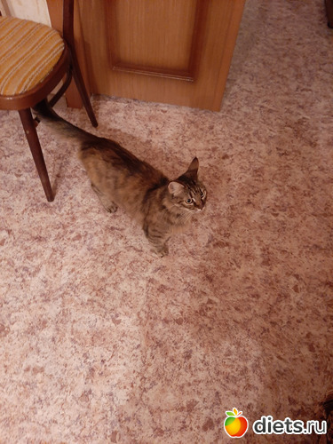 10 фото: Октябрь 2020