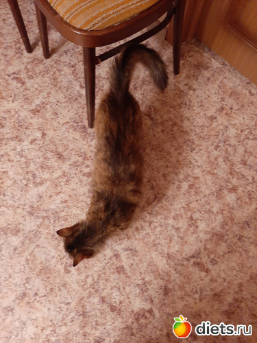 11 фото: Октябрь 2020