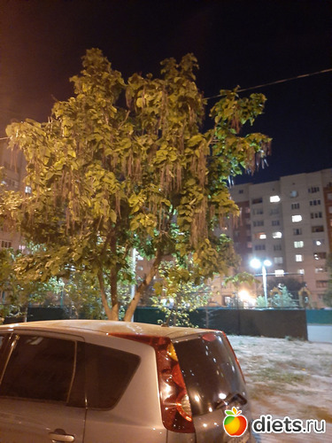 16 фото: Октябрь 2020