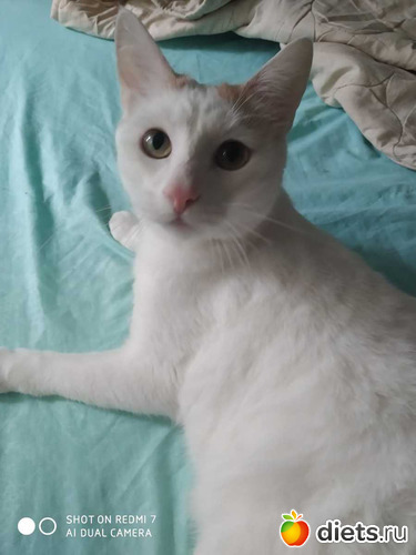 27 фото: Октябрь 2020